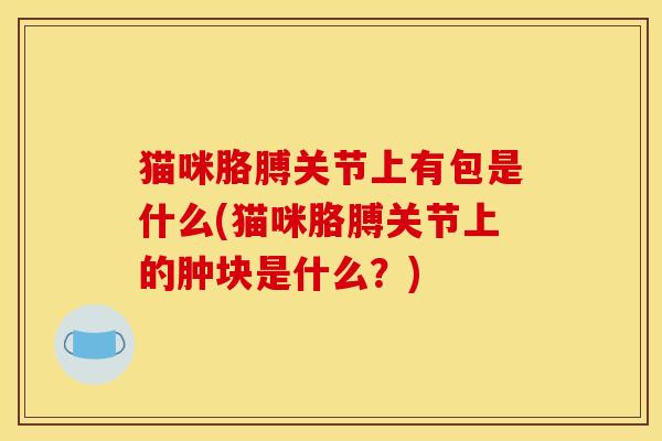 猫咪胳膊关节上有包是什么(猫咪胳膊关节上的肿块是什么？)