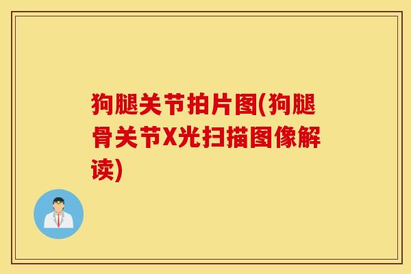 狗腿关节拍片图(狗腿骨关节X光扫描图像解读)
