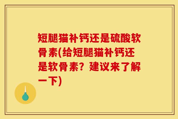 短腿猫补钙还是硫酸软骨素(给短腿猫补钙还是软骨素？建议来了解一下)