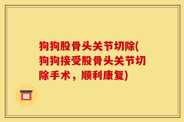 狗狗股骨头关节切除(狗狗接受股骨头关节切除手术，顺利康复)