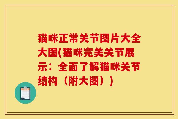 猫咪正常关节图片大全大图(猫咪完美关节展示：全面了解猫咪关节结构（附大图）)