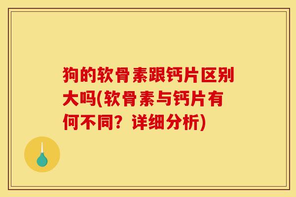 狗的软骨素跟钙片区别大吗(软骨素与钙片有何不同？详细分析)