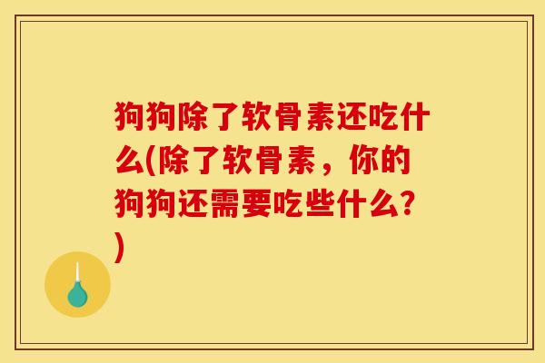 狗狗除了软骨素还吃什么(除了软骨素，你的狗狗还需要吃些什么？)