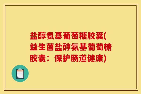 盐醇氨基葡萄糖胶囊(益生菌盐醇氨基葡萄糖胶囊：保护肠道健康)