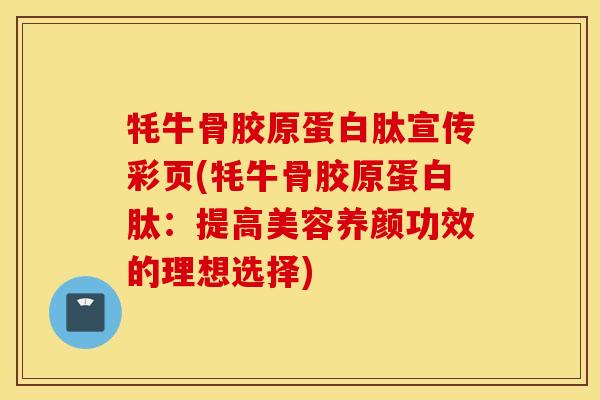 牦牛骨胶原蛋白肽宣传彩页(牦牛骨胶原蛋白肽：提高美容养颜功效的理想选择)