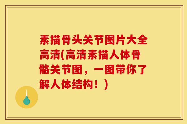 素描骨头关节图片大全高清(高清素描人体骨骼关节图，一图带你了解人体结构！)