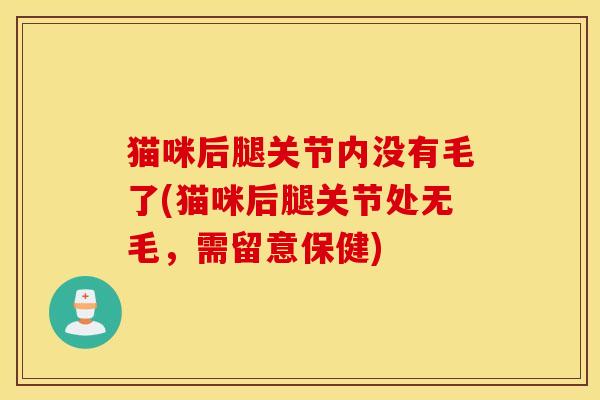 猫咪后腿关节内没有毛了(猫咪后腿关节处无毛，需留意保健)