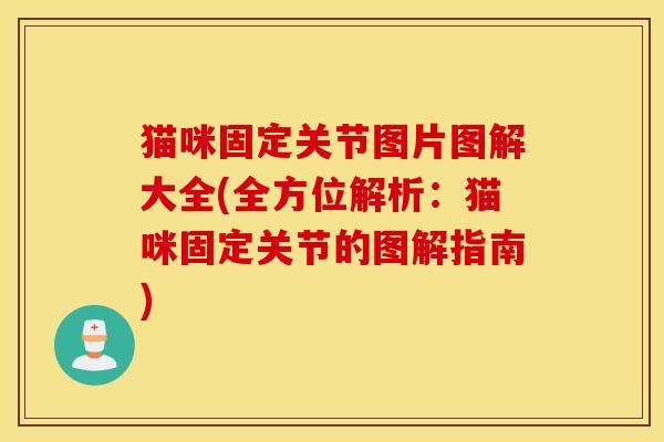 猫咪固定关节图片图解大全(全方位解析：猫咪固定关节的图解指南)