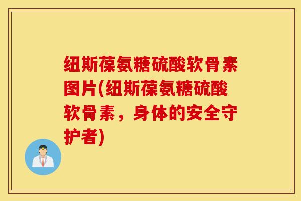 纽斯葆氨糖硫酸软骨素图片(纽斯葆氨糖硫酸软骨素，身体的安全守护者)
