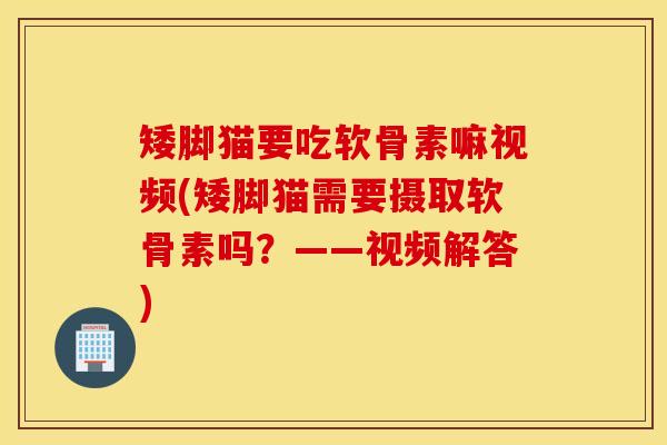矮脚猫要吃软骨素嘛视频(矮脚猫需要摄取软骨素吗？——视频解答)