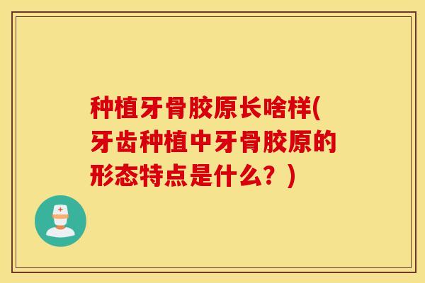 种植牙骨胶原长啥样(牙齿种植中牙骨胶原的形态特点是什么？)