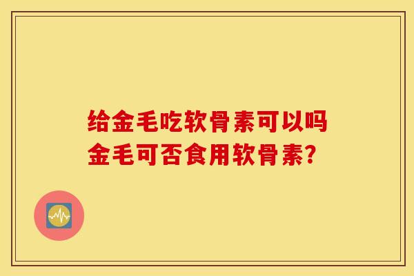 给金毛吃软骨素可以吗金毛可否食用软骨素？
