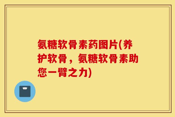 氨糖软骨素药图片(养护软骨，氨糖软骨素助您一臂之力)