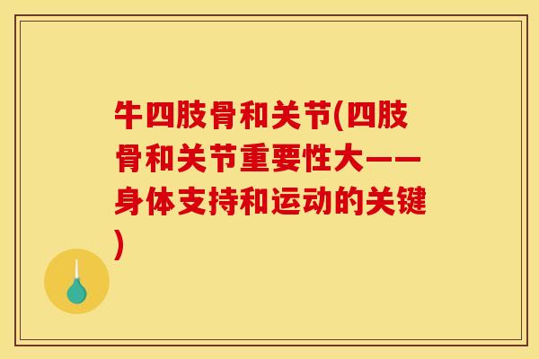 牛四肢骨和关节(四肢骨和关节重要性大——身体支持和运动的关键)