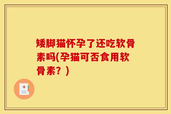 矮脚猫怀孕了还吃软骨素吗(孕猫可否食用软骨素？)
