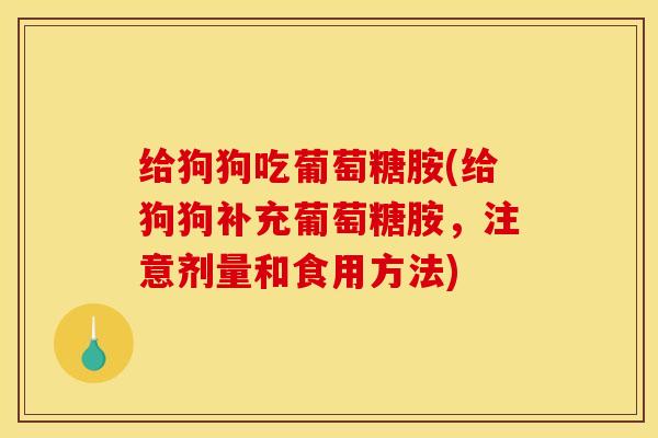 给狗狗吃葡萄糖胺(给狗狗补充葡萄糖胺，注意剂量和食用方法)