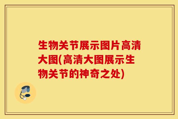生物关节展示图片高清大图(高清大图展示生物关节的神奇之处)