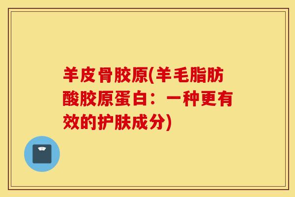 羊皮骨胶原(羊毛脂肪酸胶原蛋白:一种更有效的护肤成分) 羊皮骨胶原(羊毛脂肪酸胶原蛋白:一种更有效的护肤成分)