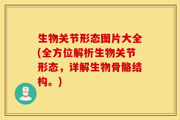 生物关节形态图片大全(全方位解析生物关节形态，详解生物骨骼结构。)