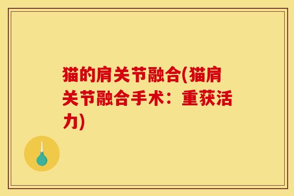 猫的肩关节融合(猫肩关节融合手术：重获活力)