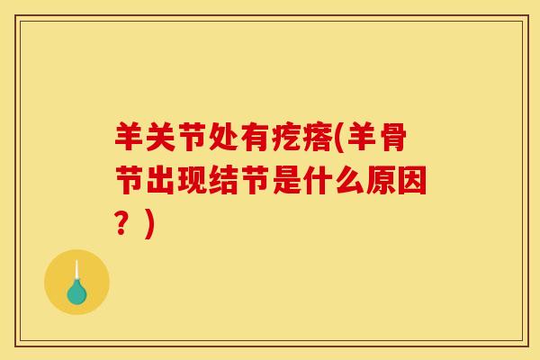 羊关节处有疙瘩(羊骨节出现结节是什么原因？)
