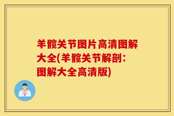 羊髋关节图片高清图解大全(羊髋关节解剖：图解大全高清版)