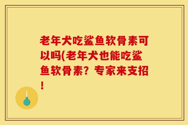 老年犬吃鲨鱼软骨素可以吗(老年犬也能吃鲨鱼软骨素？专家来支招！