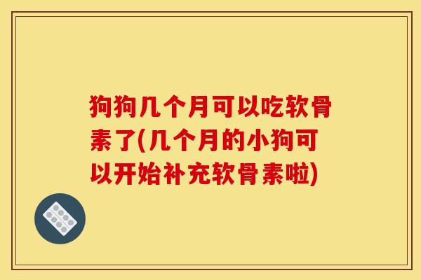 狗狗几个月可以吃软骨素了(几个月的小狗可以开始补充软骨素啦)