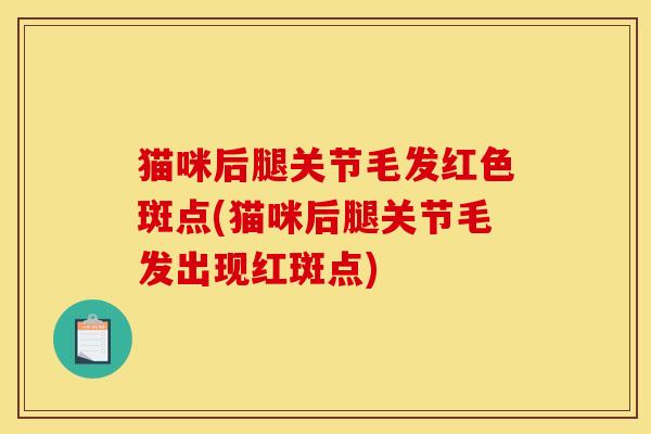 猫咪后腿关节毛发红色斑点(猫咪后腿关节毛发出现红斑点)