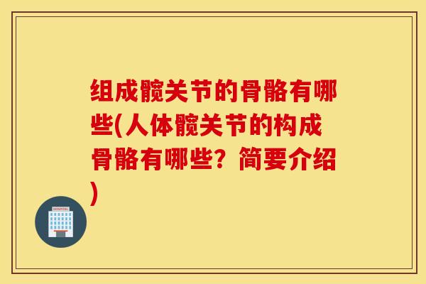 组成髋关节的骨骼有哪些(人体髋关节的构成骨骼有哪些？简要介绍)