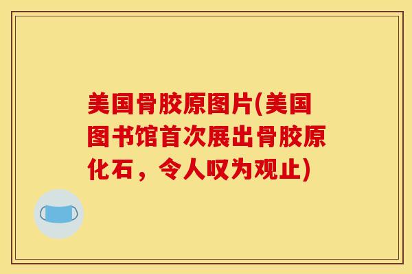 美国骨胶原图片(美国图书馆首次展出骨胶原化石，令人叹为观止)