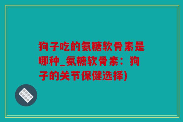 狗子吃的氨糖软骨素是哪种_氨糖软骨素：狗子的关节保健选择)