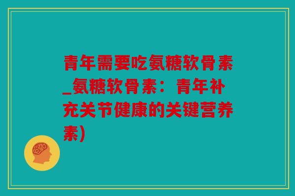 青年需要吃氨糖软骨素_氨糖软骨素：青年补充关节健康的关键营养素)