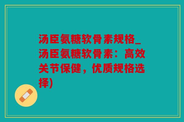 汤臣氨糖软骨素规格_汤臣氨糖软骨素：高效关节保健，优质规格选择)