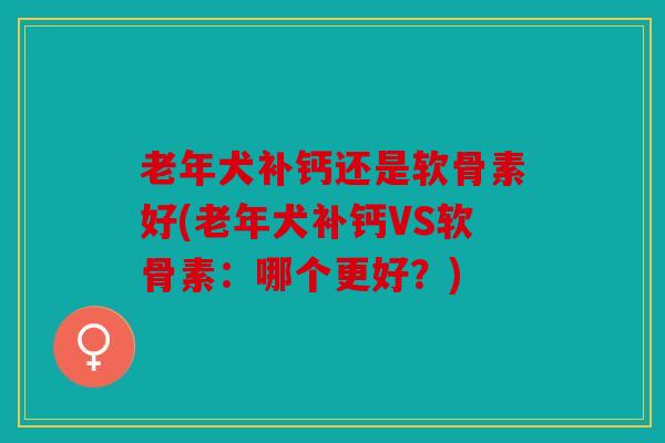 老年犬补钙还是软骨素好(老年犬补钙VS软骨素：哪个更好？)