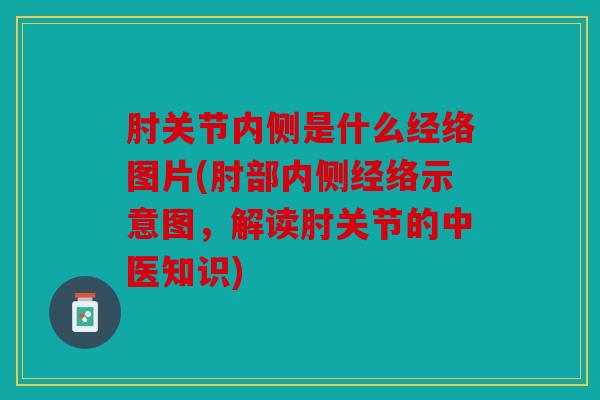 肘关节内侧是什么经络图片(肘部内侧经络示意图，解读肘关节的中医知识)