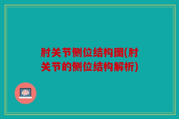 肘关节侧位结构图(肘关节的侧位结构解析)