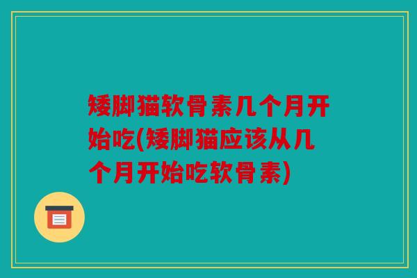 矮脚猫软骨素几个月开始吃(矮脚猫应该从几个月开始吃软骨素)
