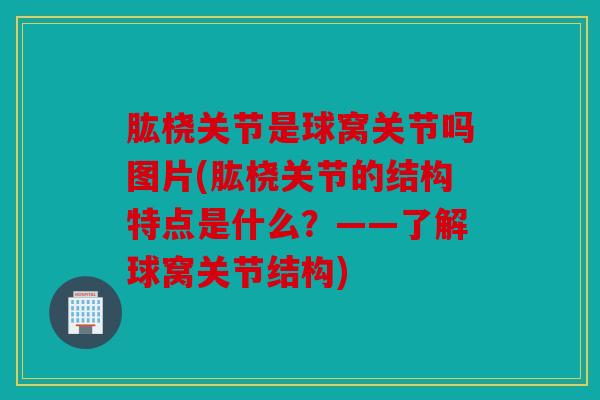 肱桡关节是球窝关节吗图片(肱桡关节的结构特点是什么？——了解球窝关节结构)