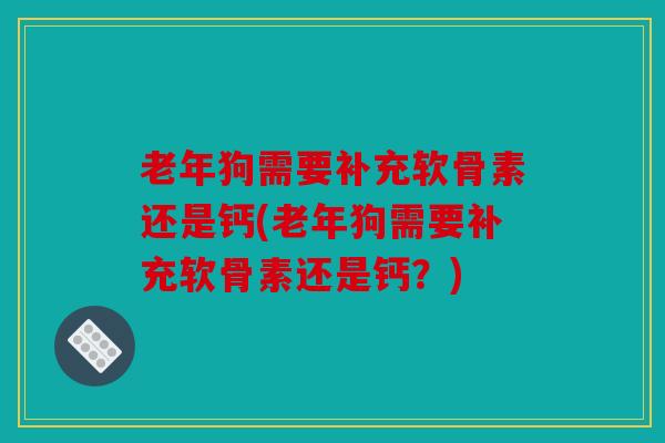 老年狗需要补充软骨素还是钙(老年狗需要补充软骨素还是钙?) 老年狗需要补充软骨素还是钙(老年狗需要补充软骨素还是钙?)