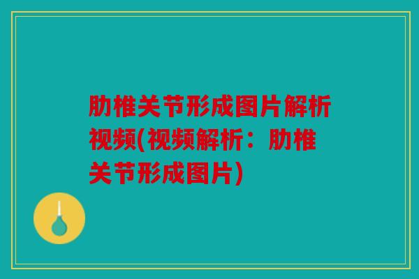 肋椎关节形成图片解析视频(视频解析：肋椎关节形成图片)
