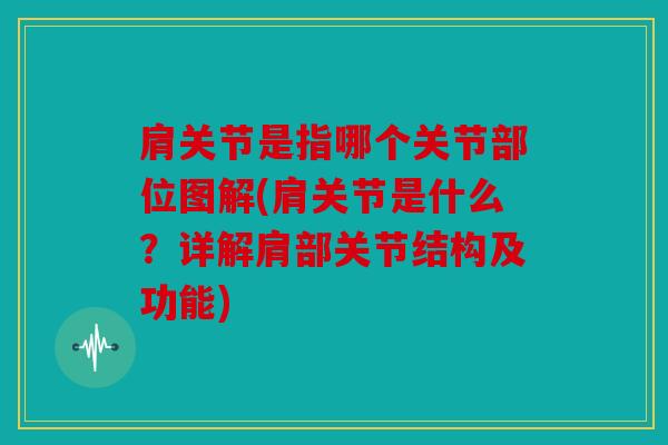 肩关节是指哪个关节部位图解(肩关节是什么？详解肩部关节结构及功能)