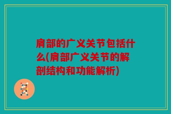 肩部的广义关节包括什么(肩部广义关节的解剖结构和功能解析)