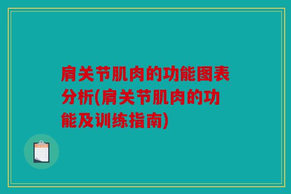 肩关节肌肉的功能图表分析(肩关节肌肉的功能及训练指南)