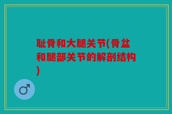 耻骨和大腿关节(骨盆和腿部关节的解剖结构) 耻骨和大腿关节(骨盆和腿部关节的解剖结构)