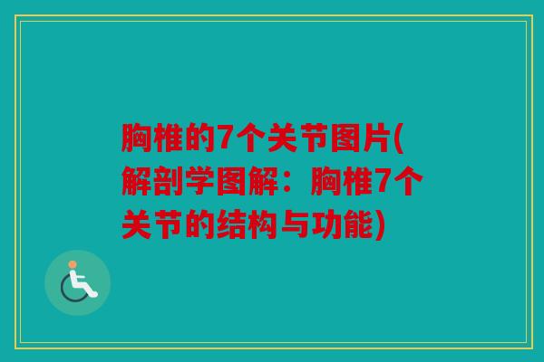 胸椎的7个关节图片(解剖学图解：胸椎7个关节的结构与功能)