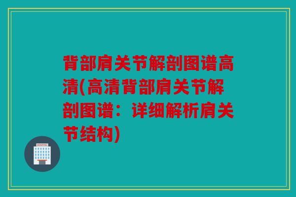 背部肩关节解剖图谱高清(高清背部肩关节解剖图谱：详细解析肩关节结构)
