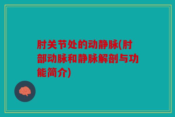 肘关节处的动静脉(肘部动脉和静脉解剖与功能简介)