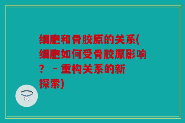 细胞和骨胶原的关系(细胞如何受骨胶原影响? - 重构关系的新探索) 细胞和骨胶原的关系(细胞如何受骨胶原影响? - 重构关系的新探索)