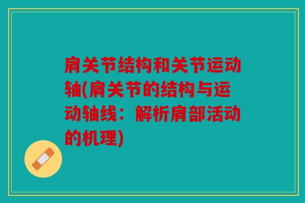 肩关节结构和关节运动轴(肩关节的结构与运动轴线：解析肩部活动的机理)